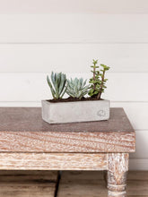 maceta-concreto-suculenta-cactus-recordatorios-regalos-para-hombres-habibi-plantitas.jpg